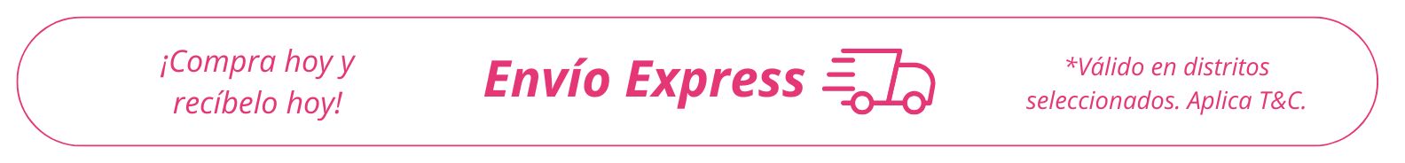Envio express